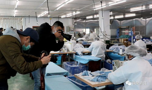 媒體大咖云集廬江 原來為了這件事